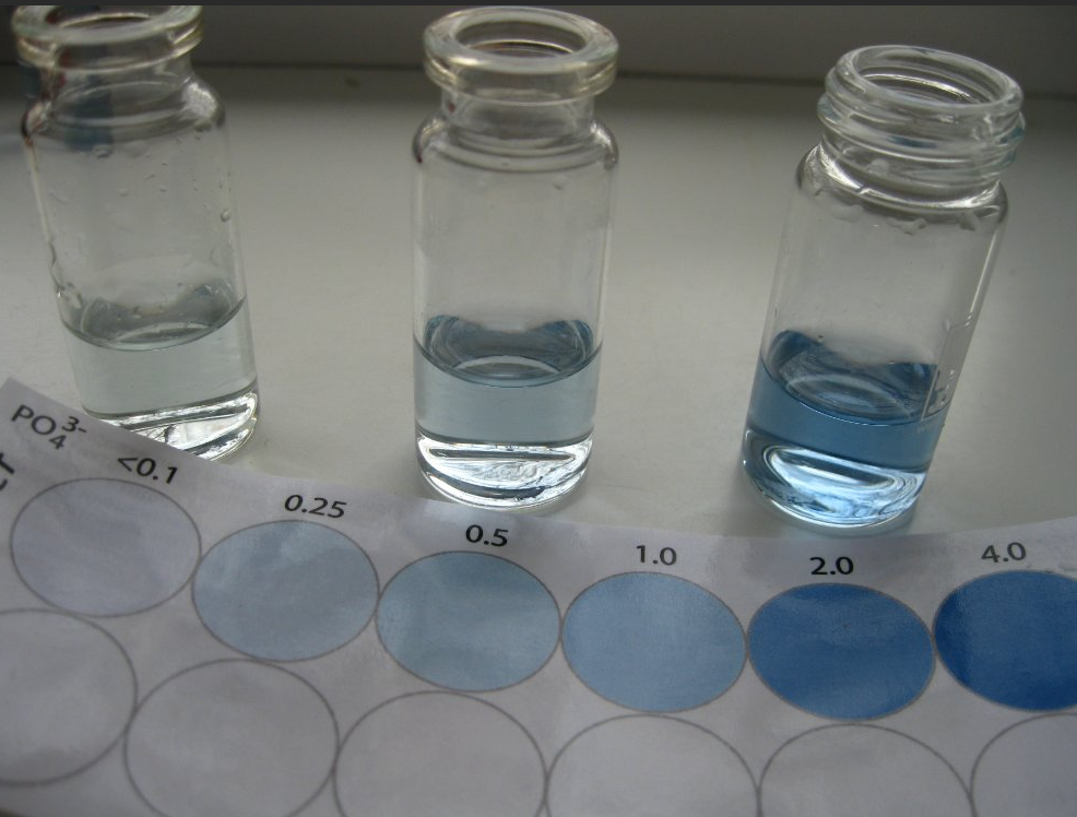 检测不同浓度的磷酸盐水样